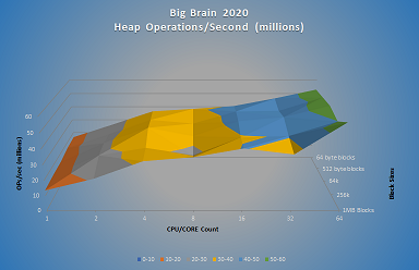 Big Brain Image